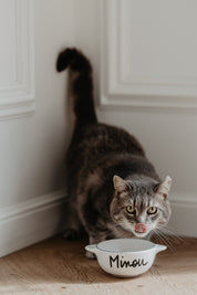 Bol breton - Animaux